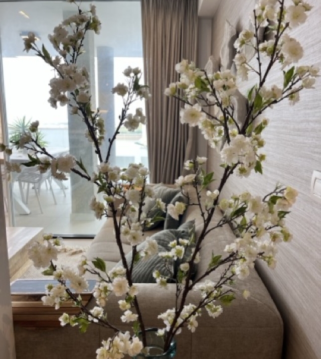 IMG_3474 normaal.jpeg